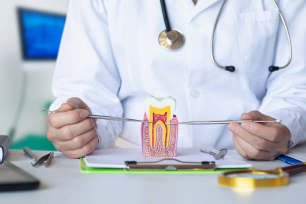 Best Emergency TMJ Treatment in Wilton, IA